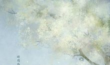 当一年只有三季