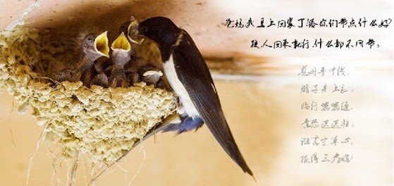 家庭之爱是最宝贵的