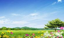 大自然的声音世界