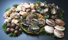 海鲜美食之都——湛江