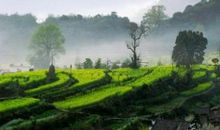 谁不说俺家乡好