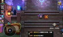 我的裁决及事由