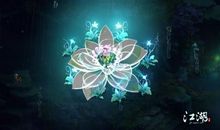 你的身影感动了我