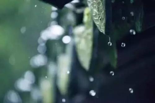 雨透了灵魂