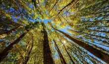 为了这片深爱的热土