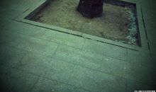 万里无云如同你永恒的悲伤