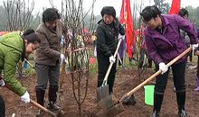 记一次植树活动