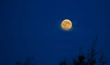 白发，牵动我的情思