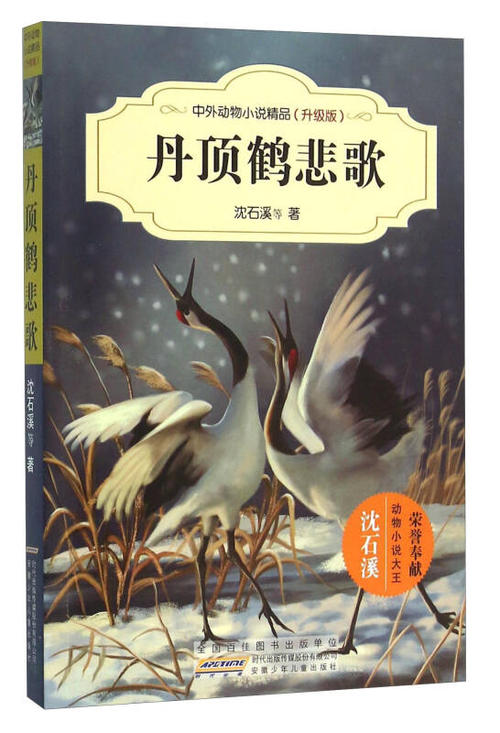 悲惨的遐想