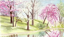 最吸引我的春天