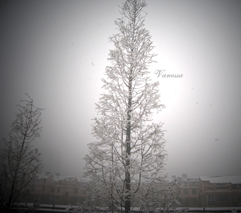 下雪的脚步