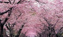 小心翼翼走好路