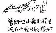 对我影响最大的一个人