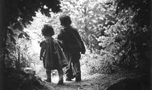 公平，成就旖旎春光_700字