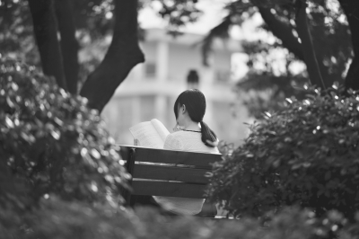 雨中的太阳