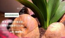 以微笑隔窗看雨