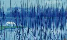 自然，你打动了我