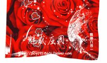 盛世玫瑰第一篇 琳泯（二）_600字