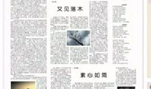 《待到晨熹微光时》诗歌