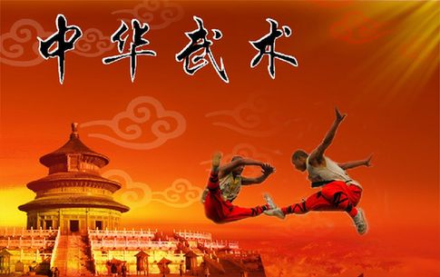 我爱中国武术