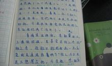 夸夸我的语文老师