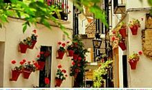 从门前到窗外_2000字