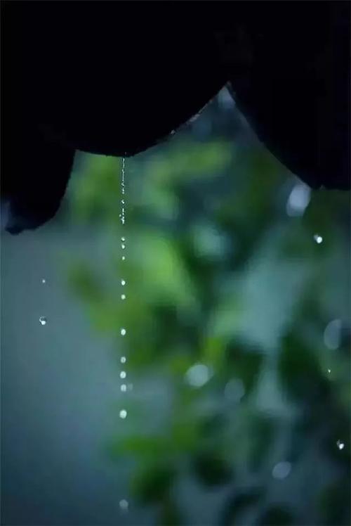 期待下雨_200字