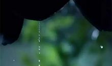 期待下雨_200字