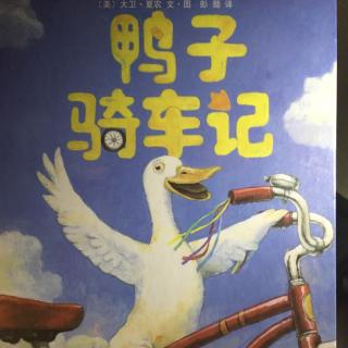 循环