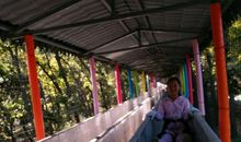 永恒•坚持_900字