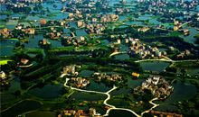 我心中的森林家园