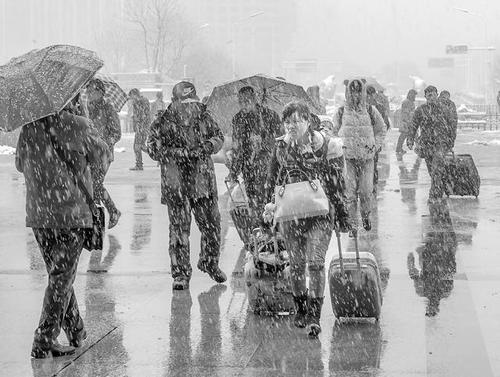 雪中​​的一幕