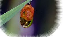 那一滴眼泪让我揪心