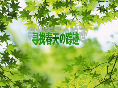 寻找春天