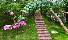 我爱四季的校园