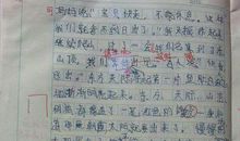 真正的快乐_500字