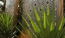 伏窗异想星空夜话