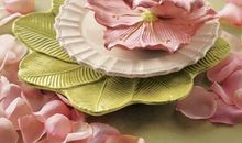 花朵绽放的瞬间作文