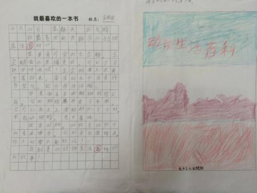 我最喜爱的书