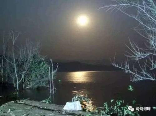 怀念淡秋的味道