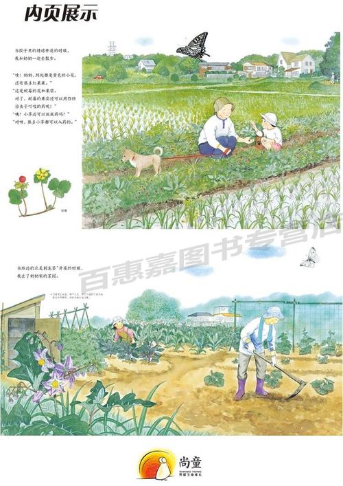 奶奶的菜园