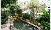 我家门前的小花园