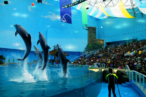 水族馆一日游