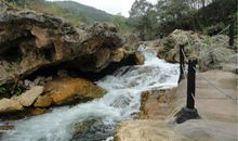 参观京山美人谷