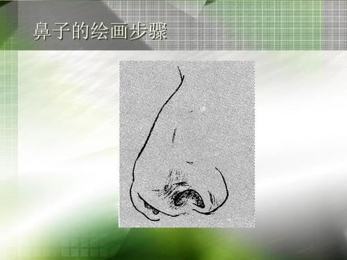 五种感官