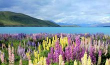 有这样一道风景