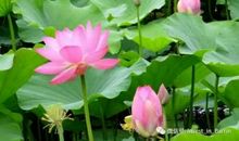 大美何在，光彩何来？