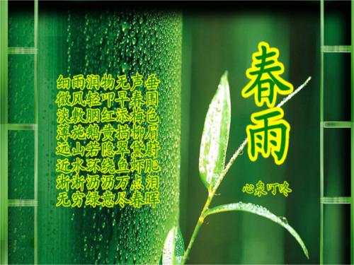 春雨