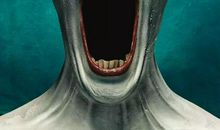 一次可怕的经历