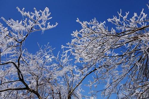 雪和阳光的爱